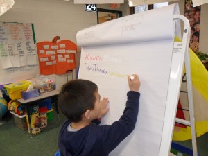 SAM_0801
